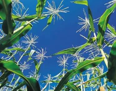 �r(n��ng)�a(ch��n)Ʒ�Gɫ�a(ch��n)Ʒ�J�C